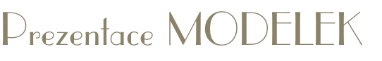 Prezentace MODELEK